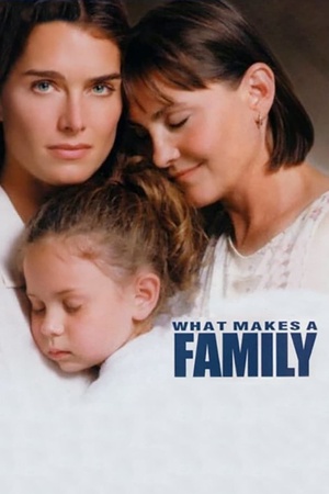 What Makes a Family 2001 1080p web YTS