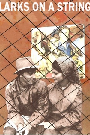Larks on a String 1969 1080p bluray YTS