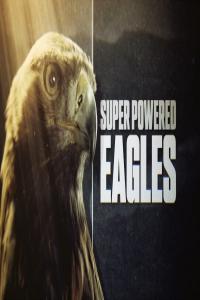 BBC Natural World 2020 Super Powered Eagles 1080p HDTV x265 AAC MVGroup org mkv