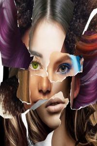 Thinking Dogs Collage 2022 Mp3 320kbps PMEDIA