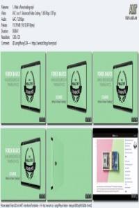 Forex Basics 2023 DevCourseWeb