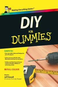 DIY For Dummies 2nd Edition By Jeff Howell