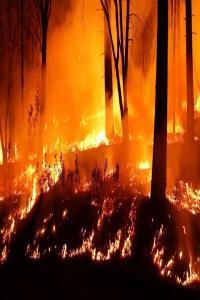 NHK Megafires Engulfing Forests and Cities 720p HDTV x265 AAC MVGroup org mkv