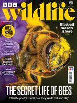 BBC Wildlife magazine 2022 complete 13 issues