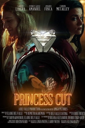 Princess Cut 2020 1080p web YTS