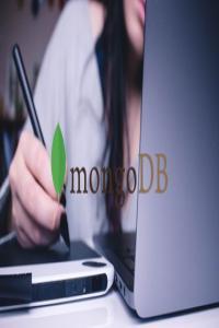 Udemy Full Stack Development With Spring Boot And MongoDB