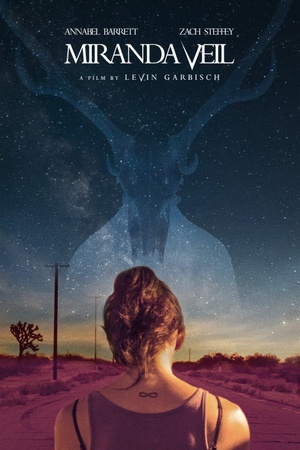 Miranda Veil 2020 1080p web YTS