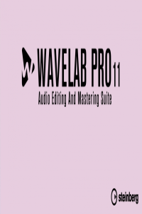 Steinberg WaveLab Pro v11 1 20 Patch haxNode