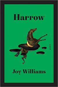 Harrow A Novel by Joy Williams EPUB