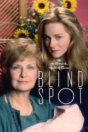 Blind Spot 1993 1080p web YTS