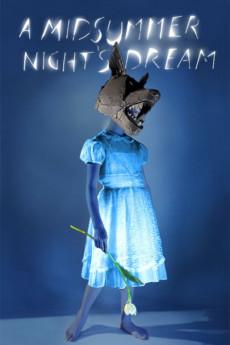 Julie Taymor's A Midsummer Night's Dream 2014 720p bluray YTS