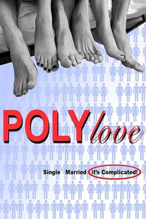PolyLove 2017 1080p web YTS