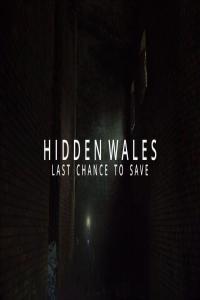 BBC Hidden Wales Last Chance to Save 1080p HDTV x265 AAC MVGroup org mkv