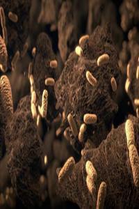 Secret Life Underground S01 1080p WEBRip AAC2 0 x264 CBFM