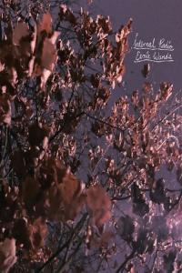 dream pop indie pop 2022 Eerie Wanda Internal Radio FLAC DarkAngie