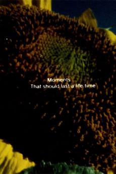 Illuminated Texts 1982 720p web YTS