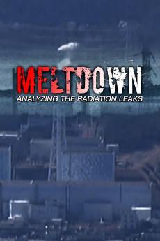 Meltdown: Analyzing the Radiation Leaks 2015 720p web YTS
