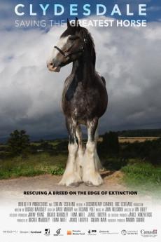 Clydesdale: Saving the Greatest Horse 2020 720p web YTS