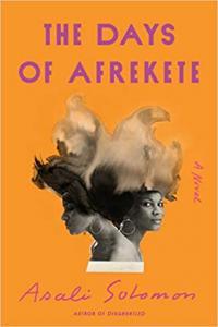 The Days of Afrekete A Novel DevCourseWeb