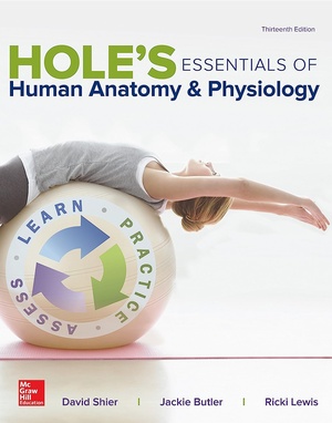 Hole s Essentials of Human Anatomy Physiology 13E 2017 Pdf Gooner
