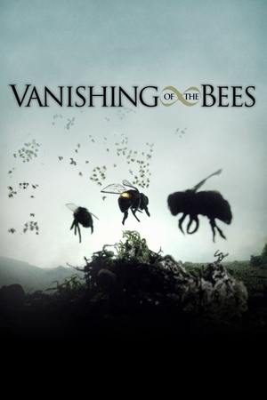 Vanishing of the Bees 2009 1080p web YTS