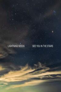 The Lightning Seeds See You in the Stars 2022 24Bit 96kHz FLAC PMEDIA