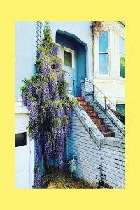 The Reds Pinks and Purples They Only Wanted Your Soul 2022 24Bit 44 1kHz FLAC PMEDIA