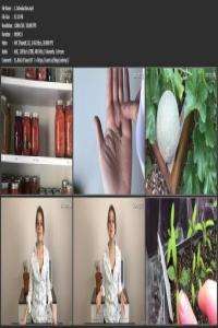 Grow Your Own Food Starting Seedlings at Home CourseWikia