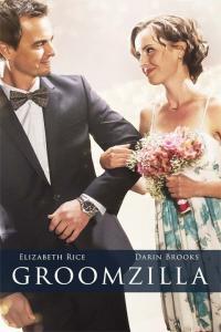 Groomzilla 2017 720p WEBRip HEVC x265 RMTeam