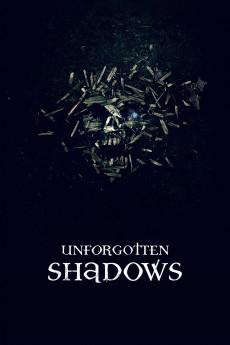 Unforgotten Shadows 2013 720p web YTS