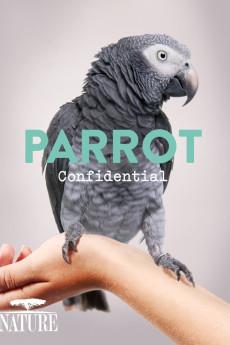 Nature Parrot Confidential 2013 720p web YTS
