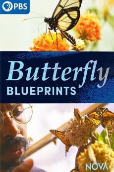 Nova Butterfly Blueprints 2022 720p web YTS