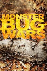 Monster Bug Wars S01 1080p WEBRip AAC2 0 x264 CAFFEiNE