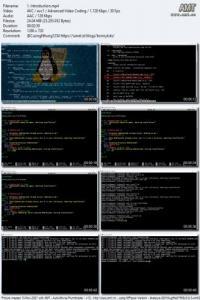 Linux BASH Scripting course with PDF handbook DevCourseWeb