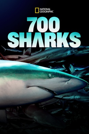700 Sharks 2018 1080p web YTS
