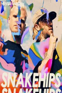Snakehips never worry 2023 Mp3 320kbps PMEDIA