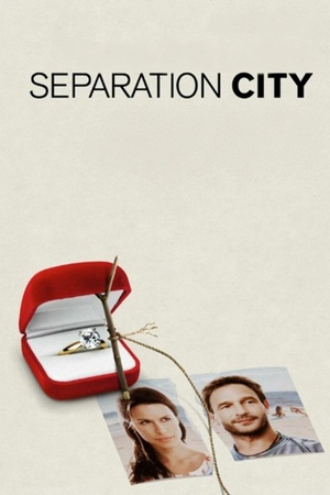 Separation City 2009 1080p bluray YTS