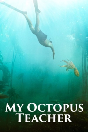 My Octopus Teacher 2020 1080p web YTS