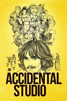 An Accidental Studio 2019 720p web YTS