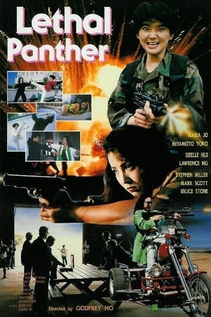 Lethal Panther 1990 1080p bluray YTS
