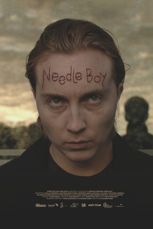 Needle Boy 2016 1080p web YTS