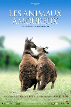 Les animaux amoureux 2007 720p bluray YTS