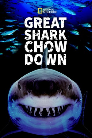 Great Shark Chow Down 2019 1080p web YTS