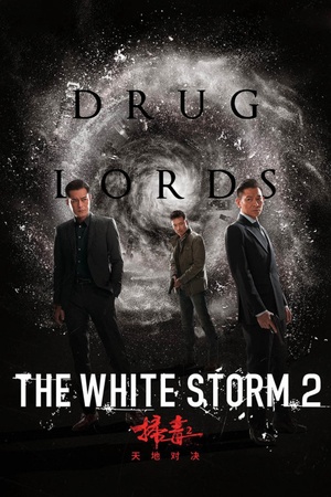 The White Storm 2: Drug Lords 2019 1080p bluray YTS