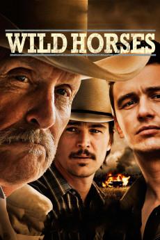 Wild Horses 2015 720p bluray YTS
