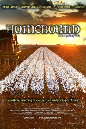 Homebound 2013 1080p web YTS