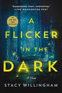 A Flicker in the Dark by Stacy Willingham EPUB