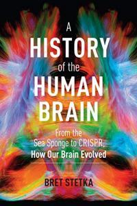 A History of the Human Brain From the Sea Sponge to CRISPR How Our Brain Evolved by Bret Stetka PD