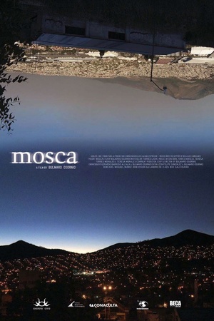 Mosca 2011 1080p web YTS
