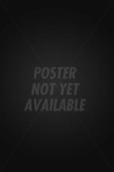 Last Kung Fu Monk 2010 720p bluray YTS